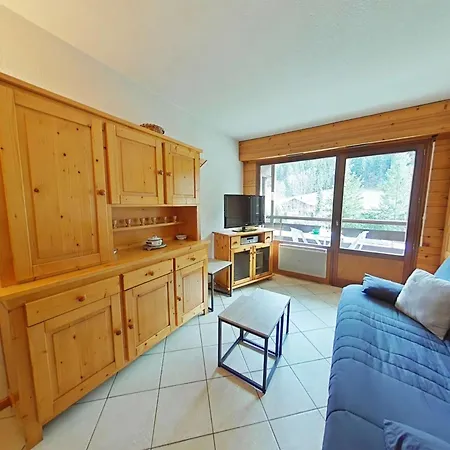 Apartment Cosy 2 Pieces, 6 Couchages, Animaux Acceptes, Casier A Skis, Centre Proche - Fr-1-241-193
