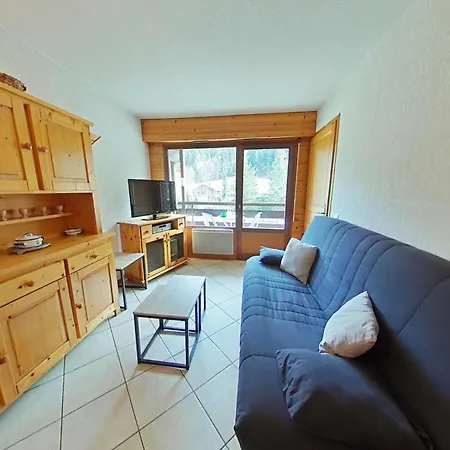 Apartment Cosy 2 Pieces, 6 Couchages, Animaux Acceptes, Casier A Skis, Centre Proche - Fr-1-241-193 *